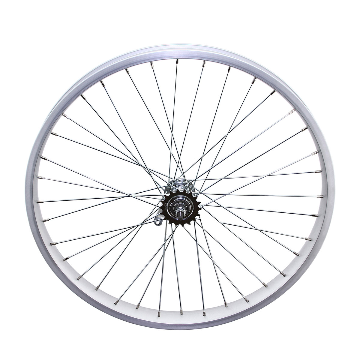 26 Inch x 45mm Alloy Coaster Wheel 36 Spoke 12G Chrome...